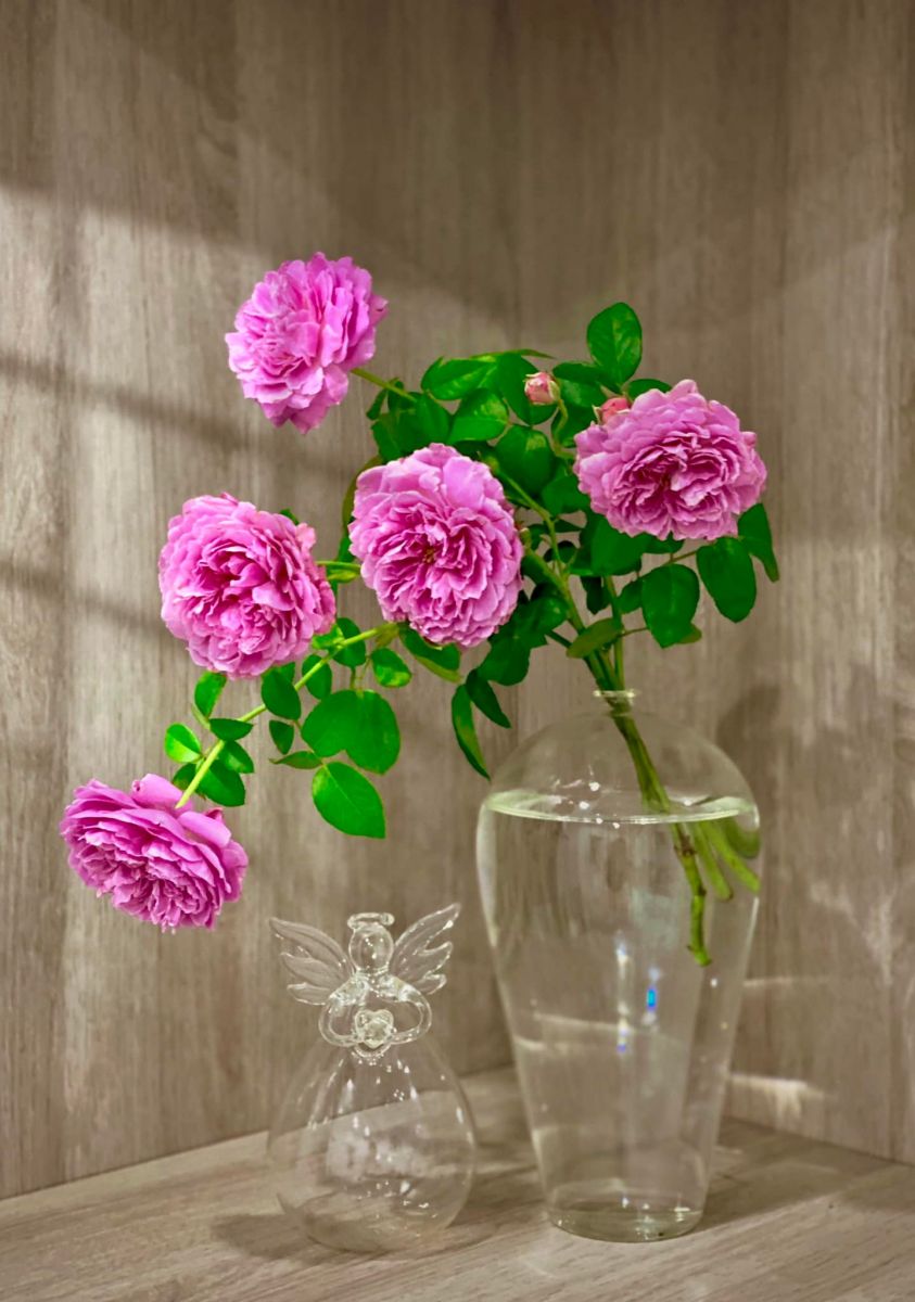 Tử vi ngày 1/10/2022 của 12 cung hoàng đạo